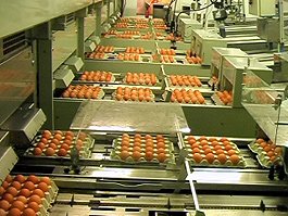 Implantaci&oacute;n de un ERP integral con etiquetado y trazabilidad mediante radiofrecuencia en la av&iacute;cola Fco. De Lucas e Hijos, S.A. de Guadalajara