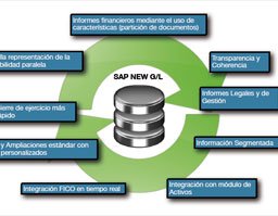 SAP New General Ledger. Introducci&oacute;n por los expertos de Cuviv. 1 Hora de webinar.