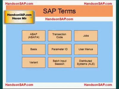 Introducción a SAP Terms. Screencast en inglés de 8 minutos de duración.