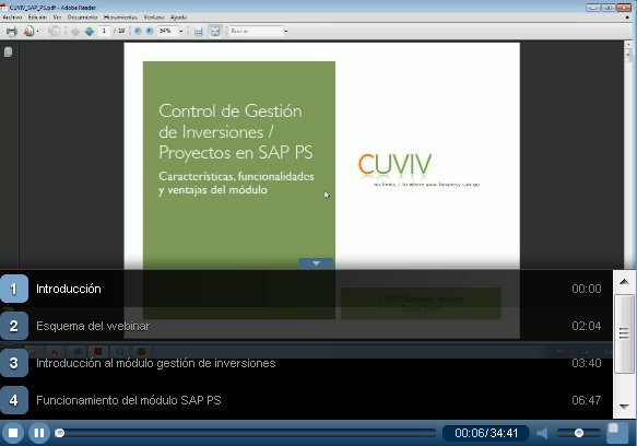Gesti&oacute;n de inversiones y proyectos con SAP PS. Webinar de 40 minutos. Por Cuviv.com