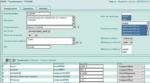 Mejores prácticas para la selección de software ERP del mercado medio 