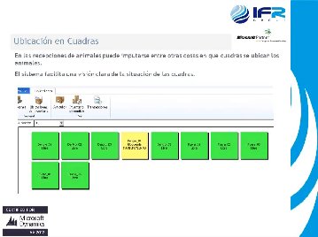 Mataderos y Salas de despiece bajo Microsoft Dynamics AX. Por IFR Group. Webinar de 1 hora.