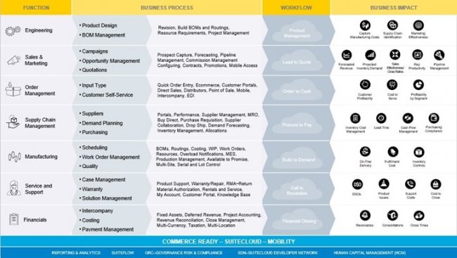 Oracle Netsuite para Industria. Informe Completo. 