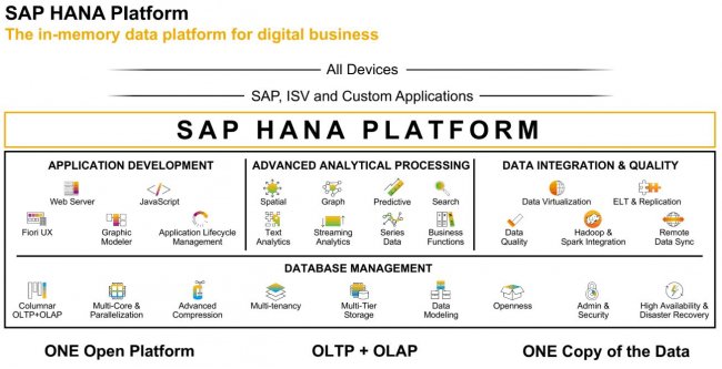 SAP HANA Platform. Informe Especial [PDF 20 págs.] Por IECISA e IT-Spain.net