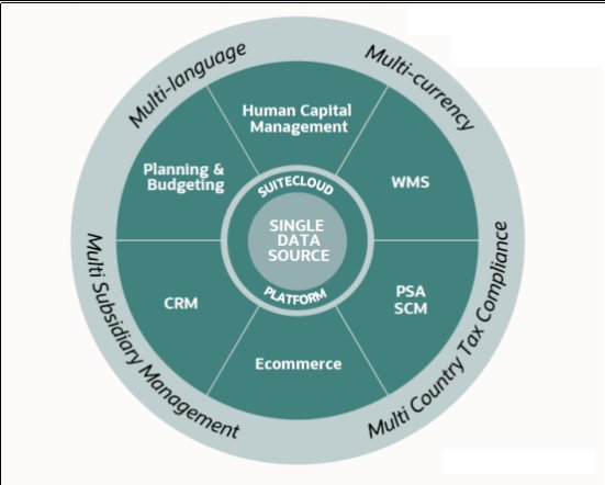 Netsuite ERP: evaluación y análisis