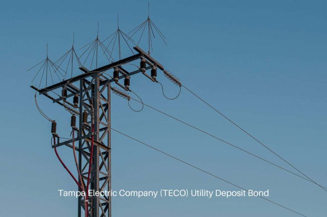 La eléctrica USA TECO explica su renovación desde cero de todo su back office con IFS